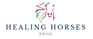 Healing Horses Kauai